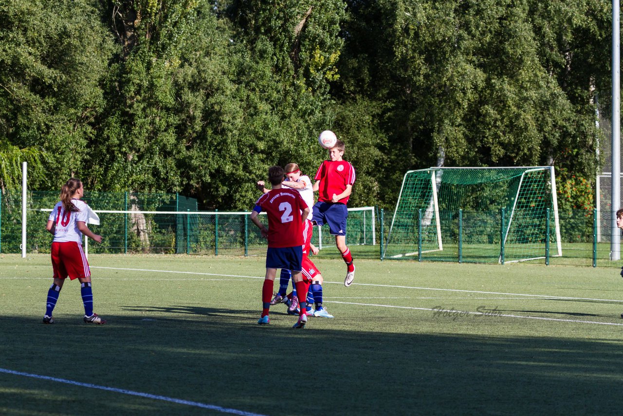 Bild 240 - Frauen HSV - cJun Eintracht Norderstedt : Ergebnis: 1:16